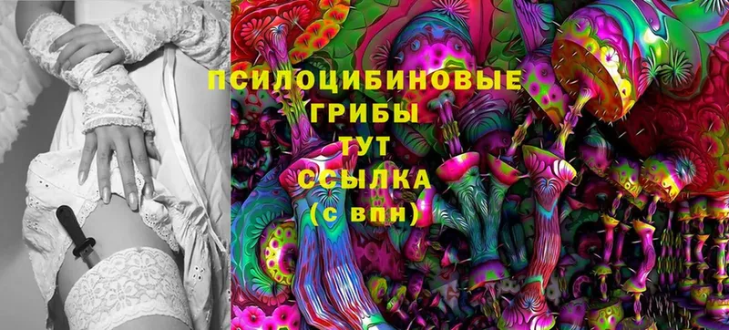 Галлюциногенные грибы Magic Shrooms  Малаховка 